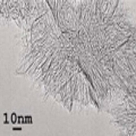 биосенсоры использовали swnh silngle walled carbon nanohorns