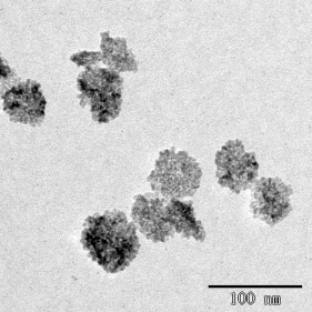 фотокаталитическое антимикробное покрытие tio2 наночастицы